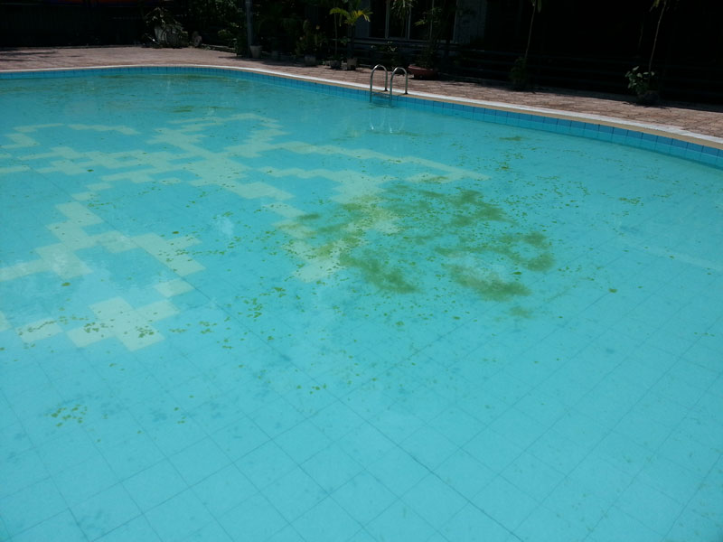 Как избавиться от зелени в бассейне быстро и качественно?